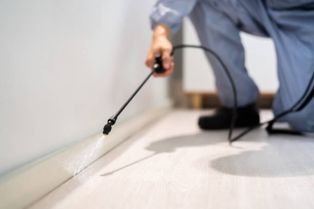 Certified termite inspector examining foundation in Winder