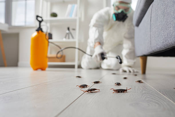Commercial Kitchen Cockroach Control in Winder